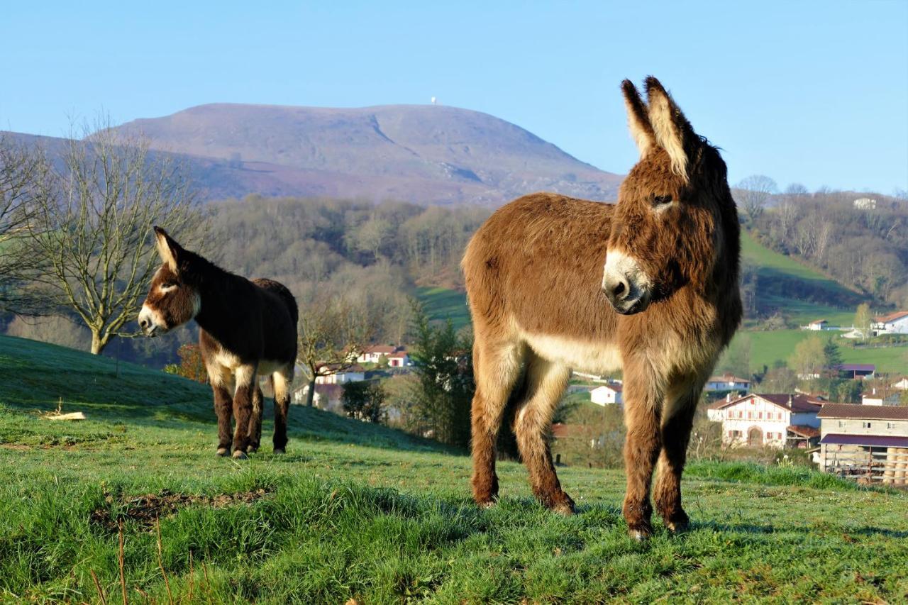 Baskoparadis I Eco-Gites I Calme I Vue I Anes I Jardin I Montagne I Nature Louhossoa Kültér fotó