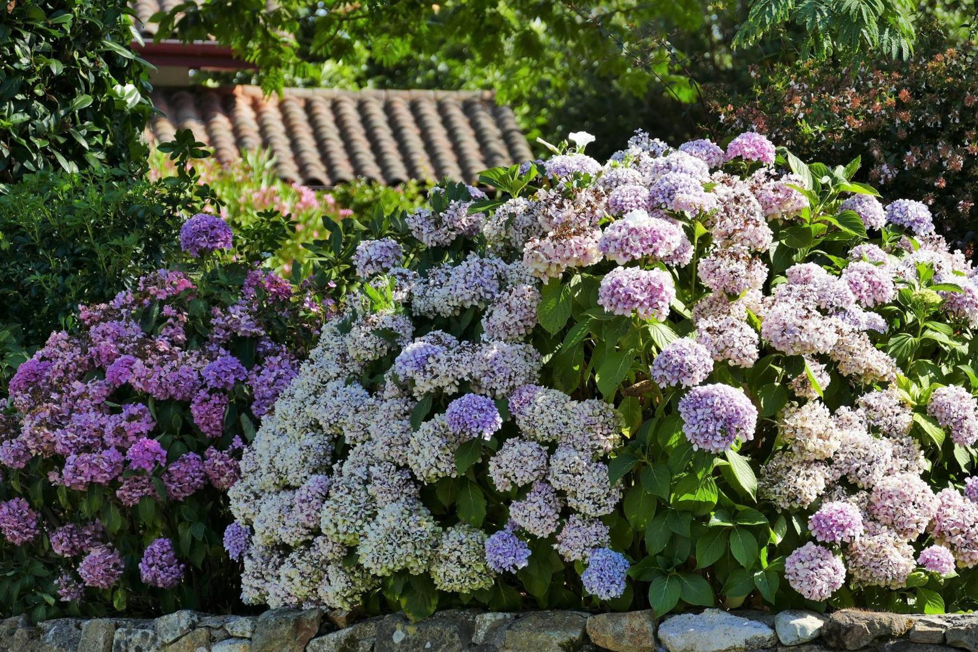 Baskoparadis I Eco-Gites I Calme I Vue I Anes I Jardin I Montagne I Nature Louhossoa Kültér fotó