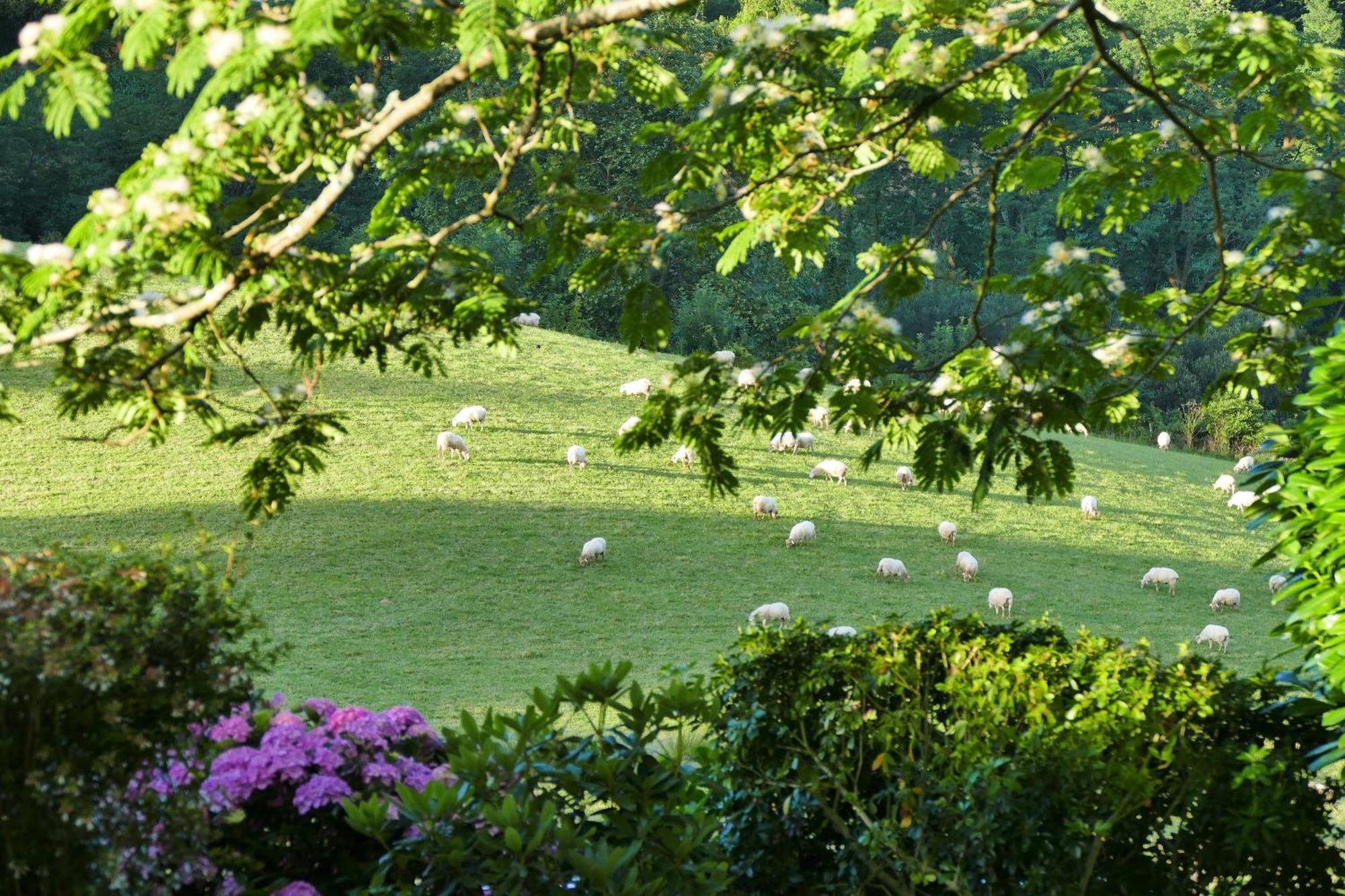Baskoparadis I Eco-Gites I Calme I Vue I Anes I Jardin I Montagne I Nature Louhossoa Kültér fotó