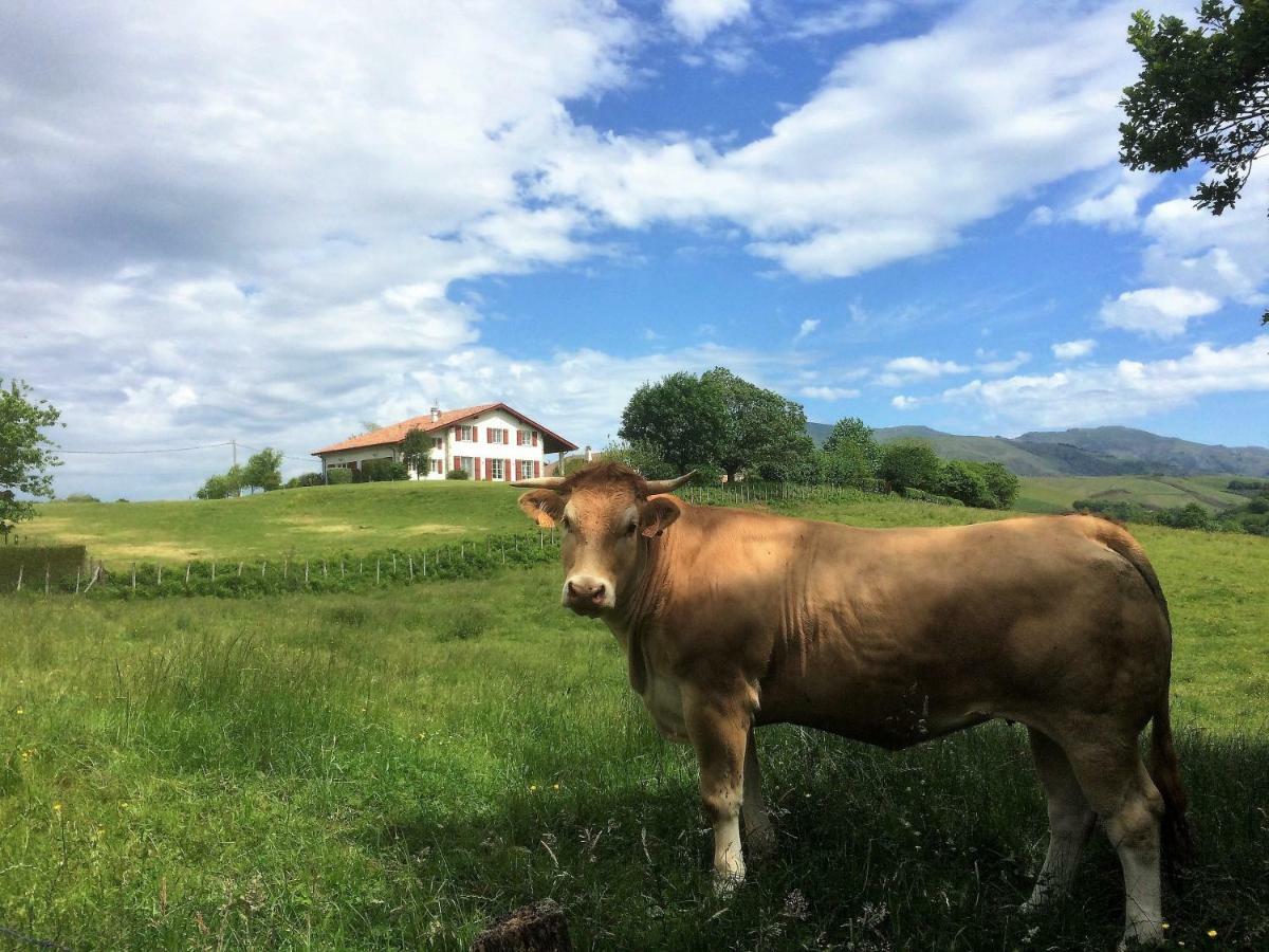 Baskoparadis I Eco-Gites I Calme I Vue I Anes I Jardin I Montagne I Nature Louhossoa Kültér fotó