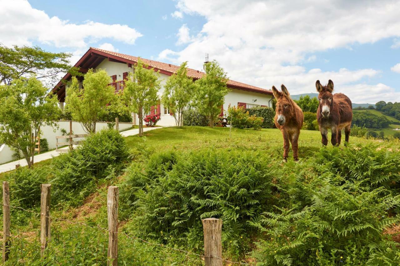 Baskoparadis I Eco-Gites I Calme I Vue I Anes I Jardin I Montagne I Nature Louhossoa Kültér fotó